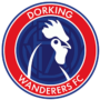 Dorking Wanderers